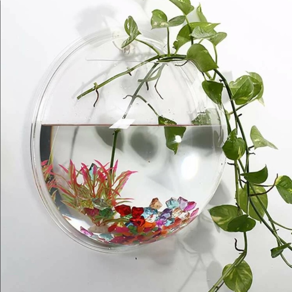 Wall art Fish tank fun!!!!